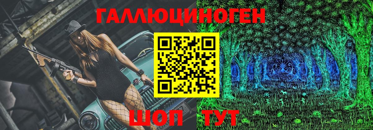 Галлюциногенные грибы Psilocybine cubensis  Вход с VPN  Реж 