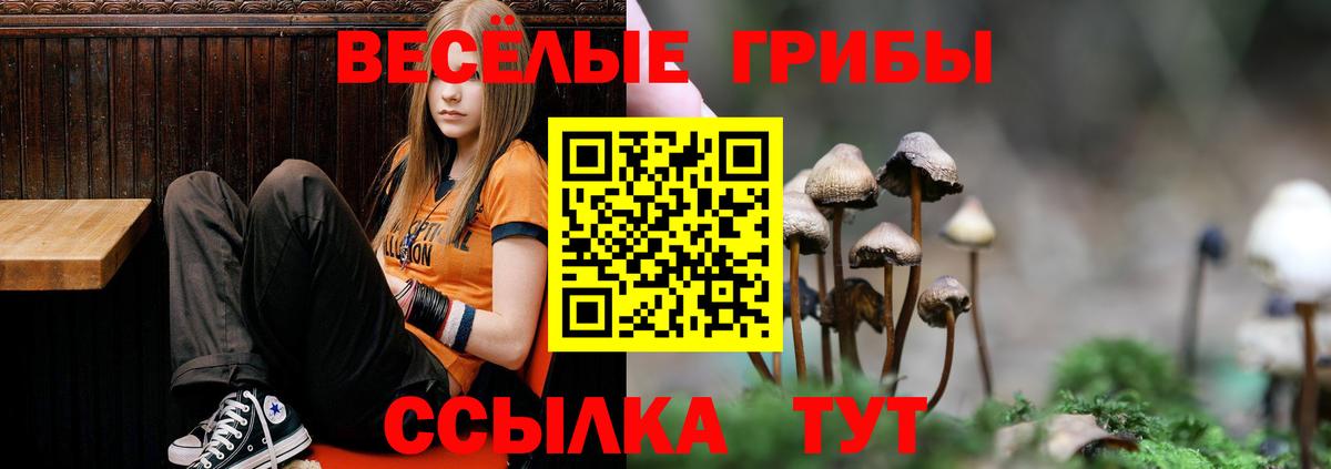 Псилоцибиновые грибы GOLDEN TEACHER Реж