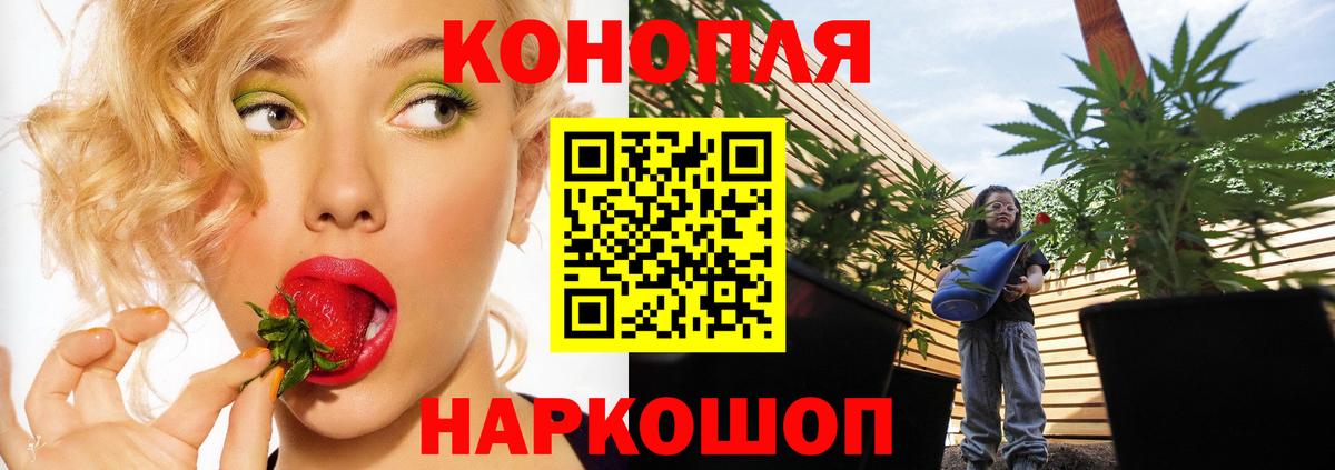 Бошки Шишки LSD WEED  Вход с VPN  Каннабис MAZAR  Реж  Шишки марихуана OG Kush 